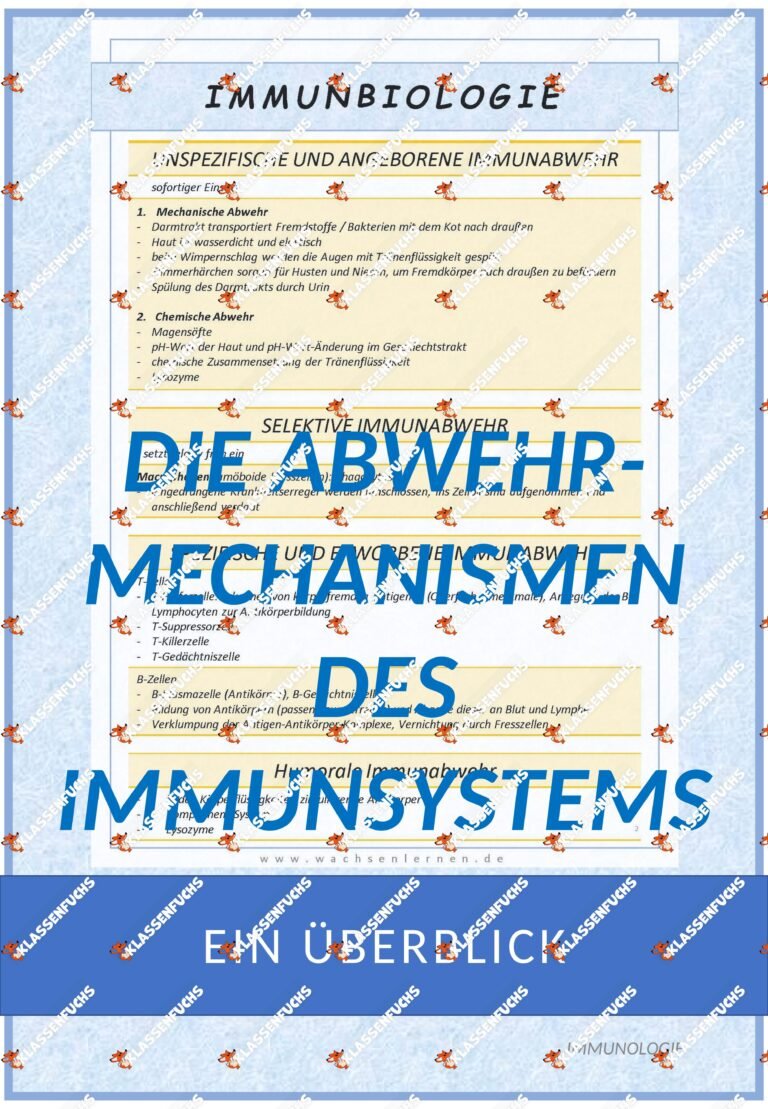 Biologie: Abwehrmechanismen des Körpers – Überblick